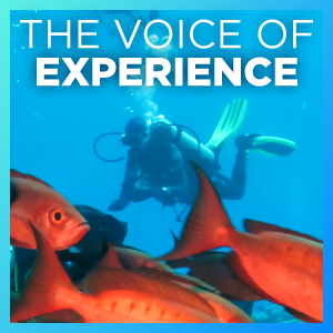 The voice of experience.