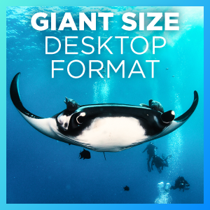 Giant size desktop format.
